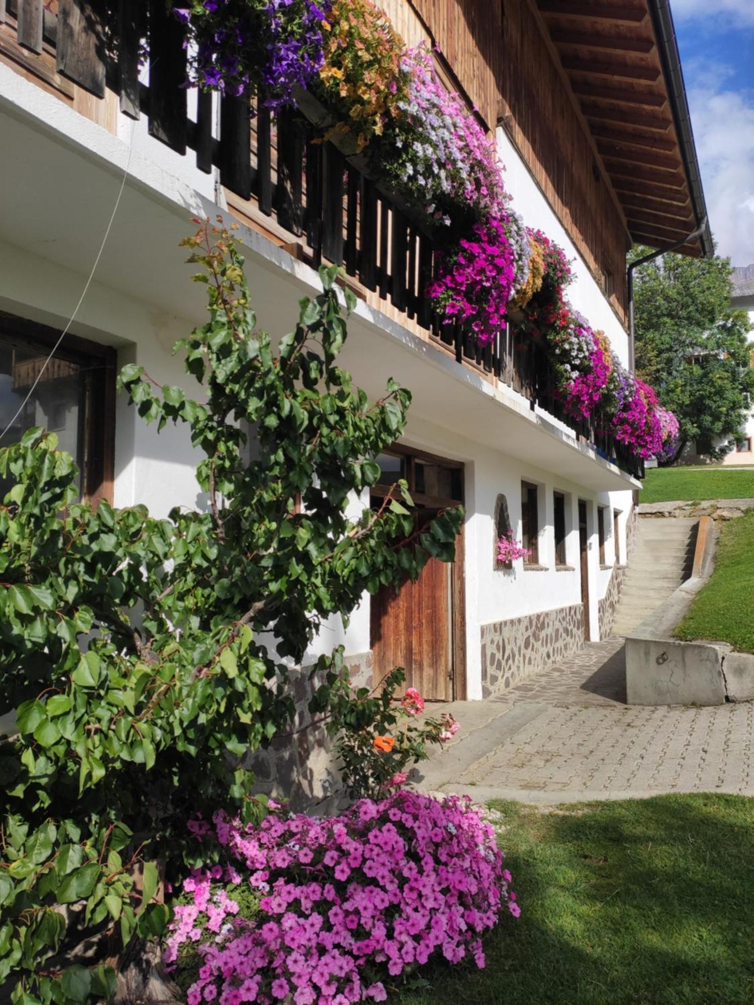 Agriturismo Anvi Apartman Badia Kültér fotó