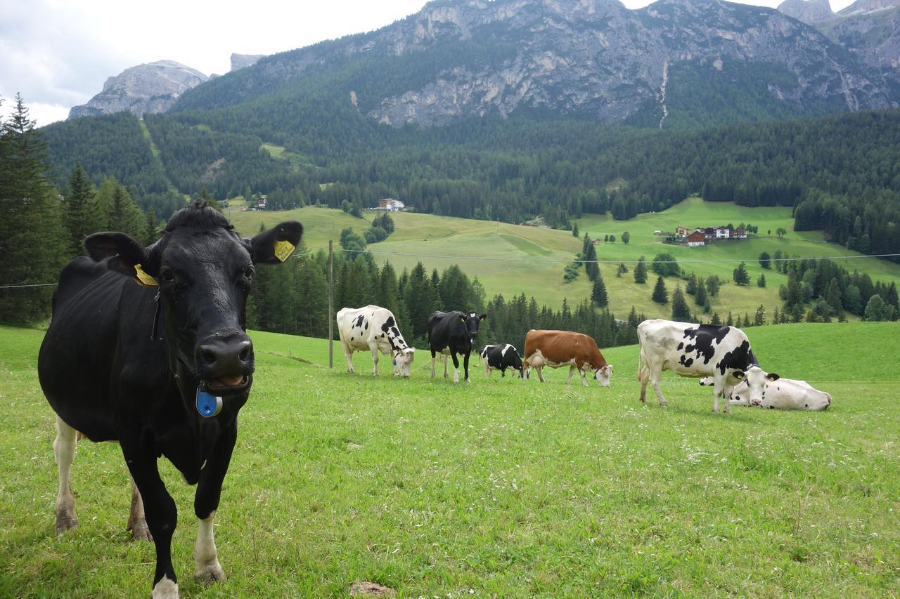 Agriturismo Anvi Apartman Badia Kültér fotó